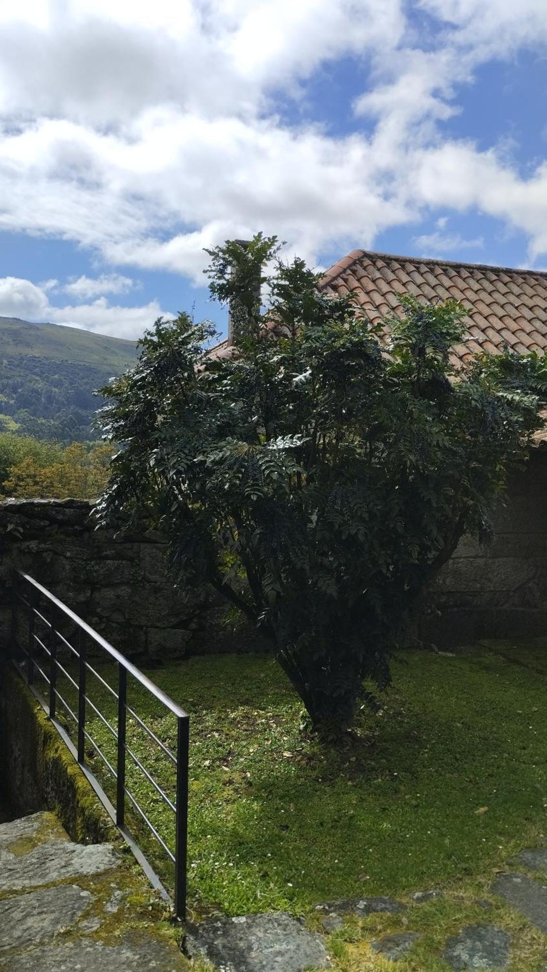 Rectoral De Prado Vendégház Piñeiro Kültér fotó